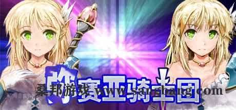 弥赛亚骑士团