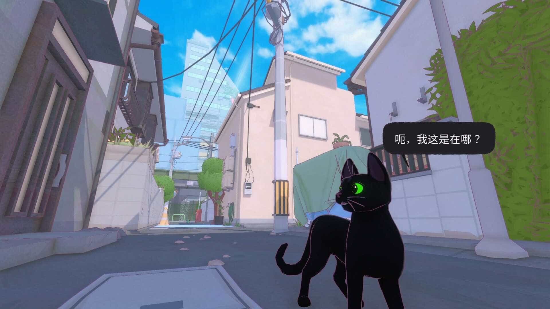 小猫咪大城市-Little Kitty, Big City