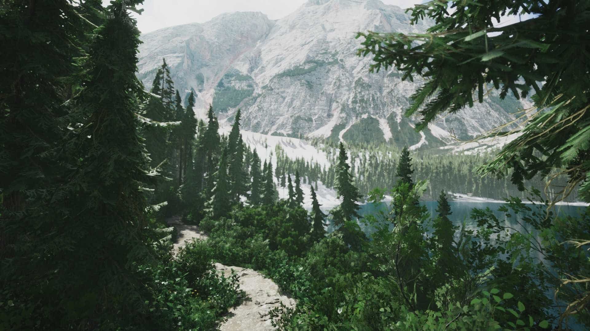 模拟美景摄影-Lushfoil Photography Sim