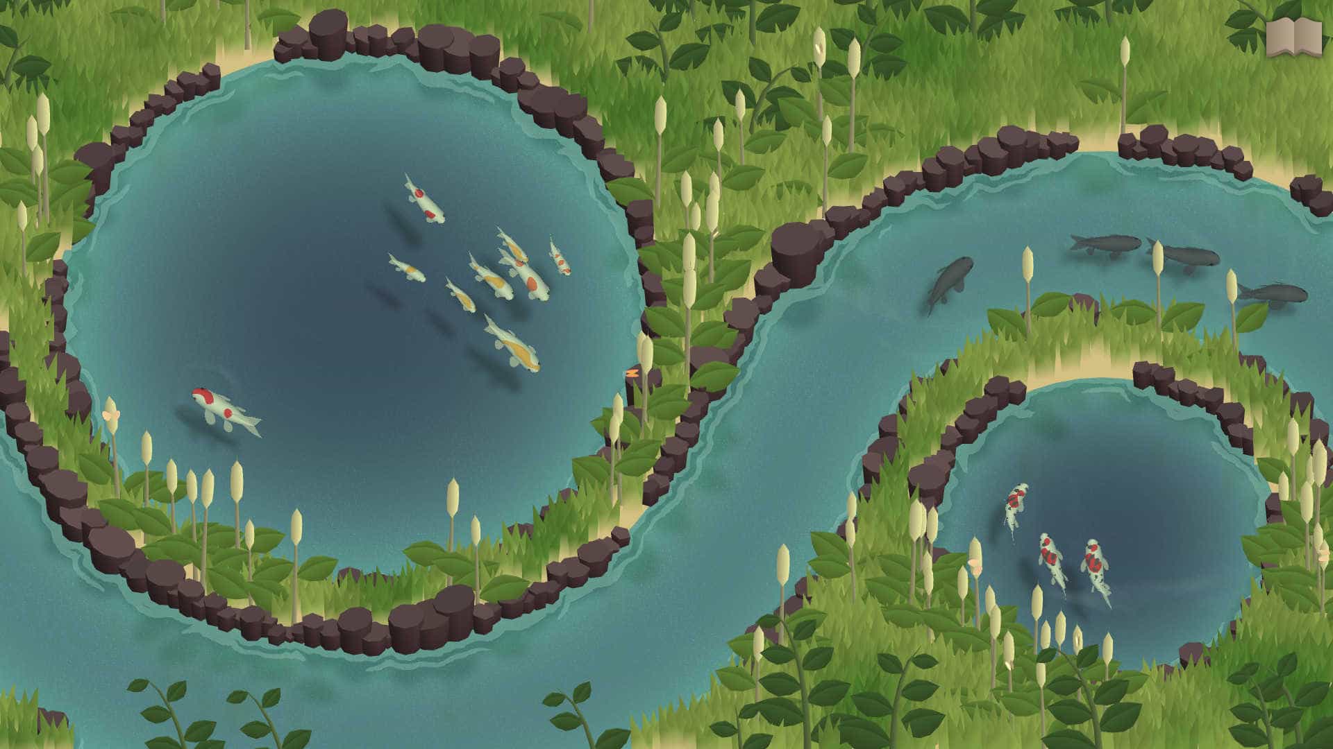 锦鲤养殖场-Koi Farm