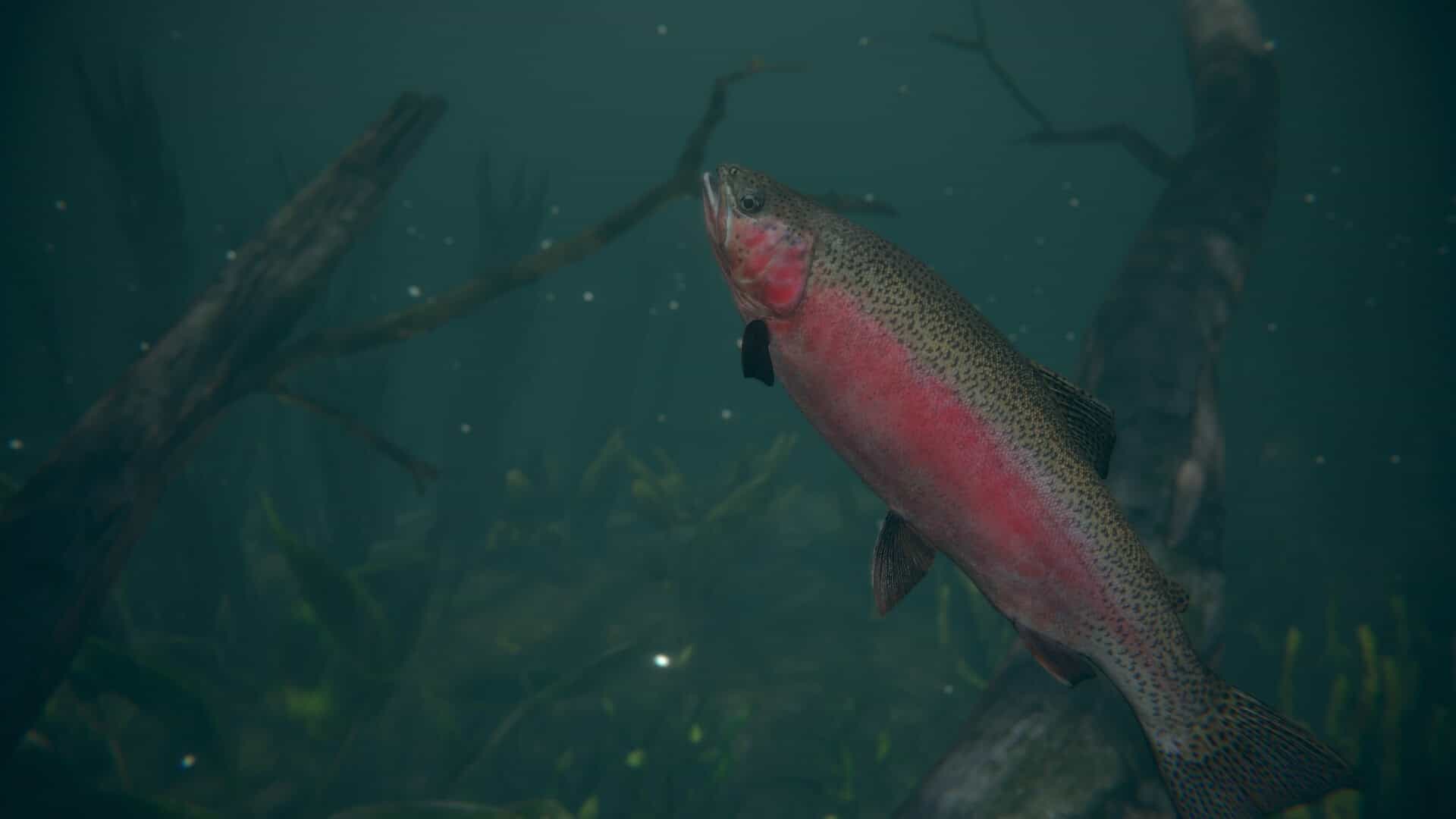 终极钓鱼模拟器2-Ultimate Fishing Simulator 2
