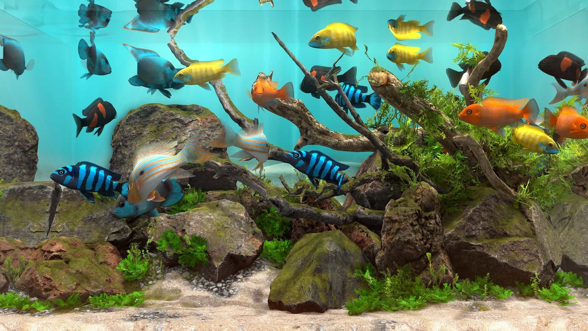 玻璃背后：水族馆模拟器-Behind Glass: Aquarium Simulator