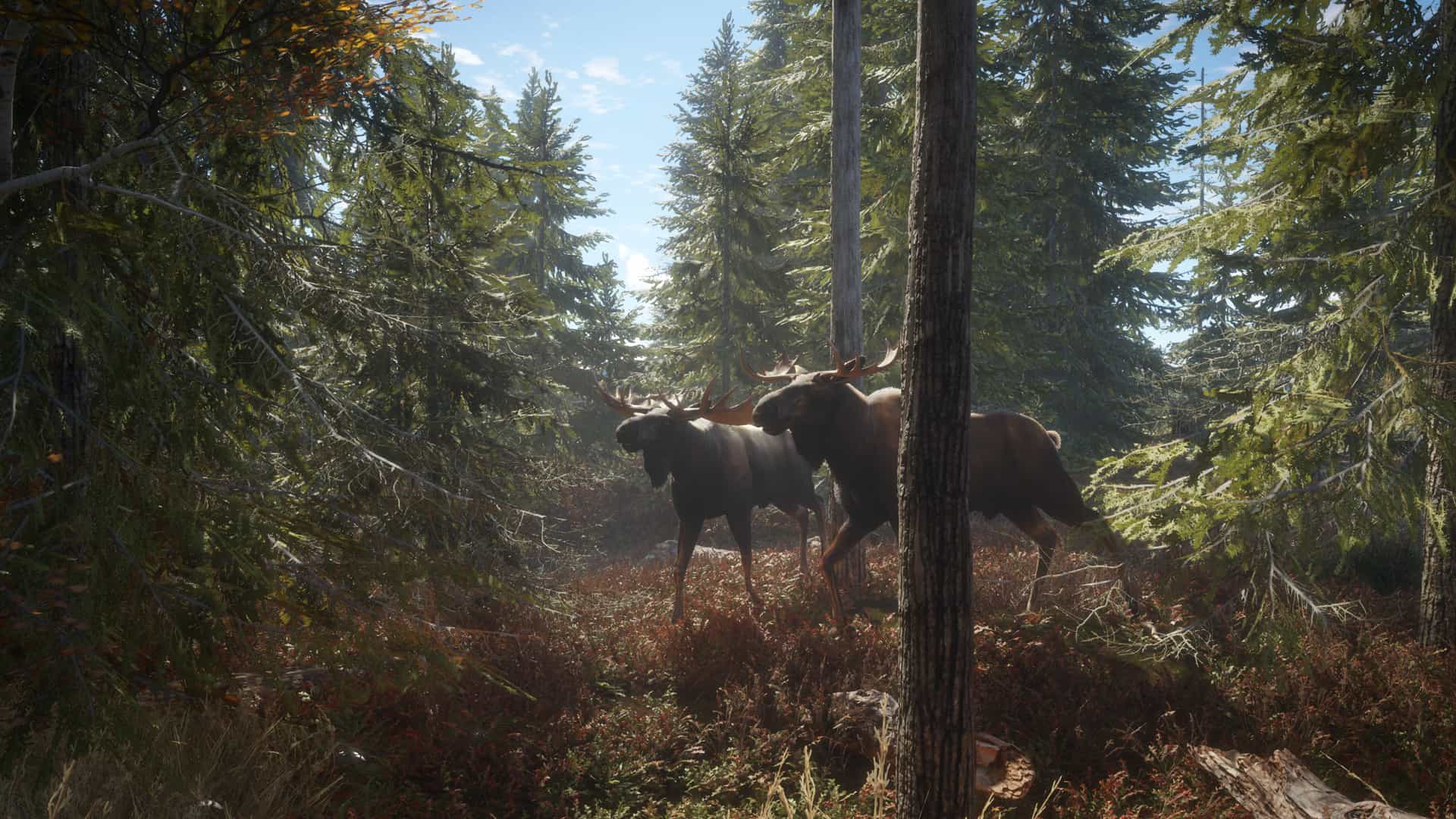 猎人：荒野的召唤-theHunter: Call of the Wild