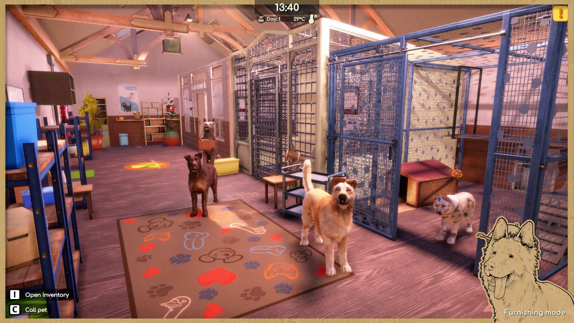 动物收容所2-Animal Shelter 2