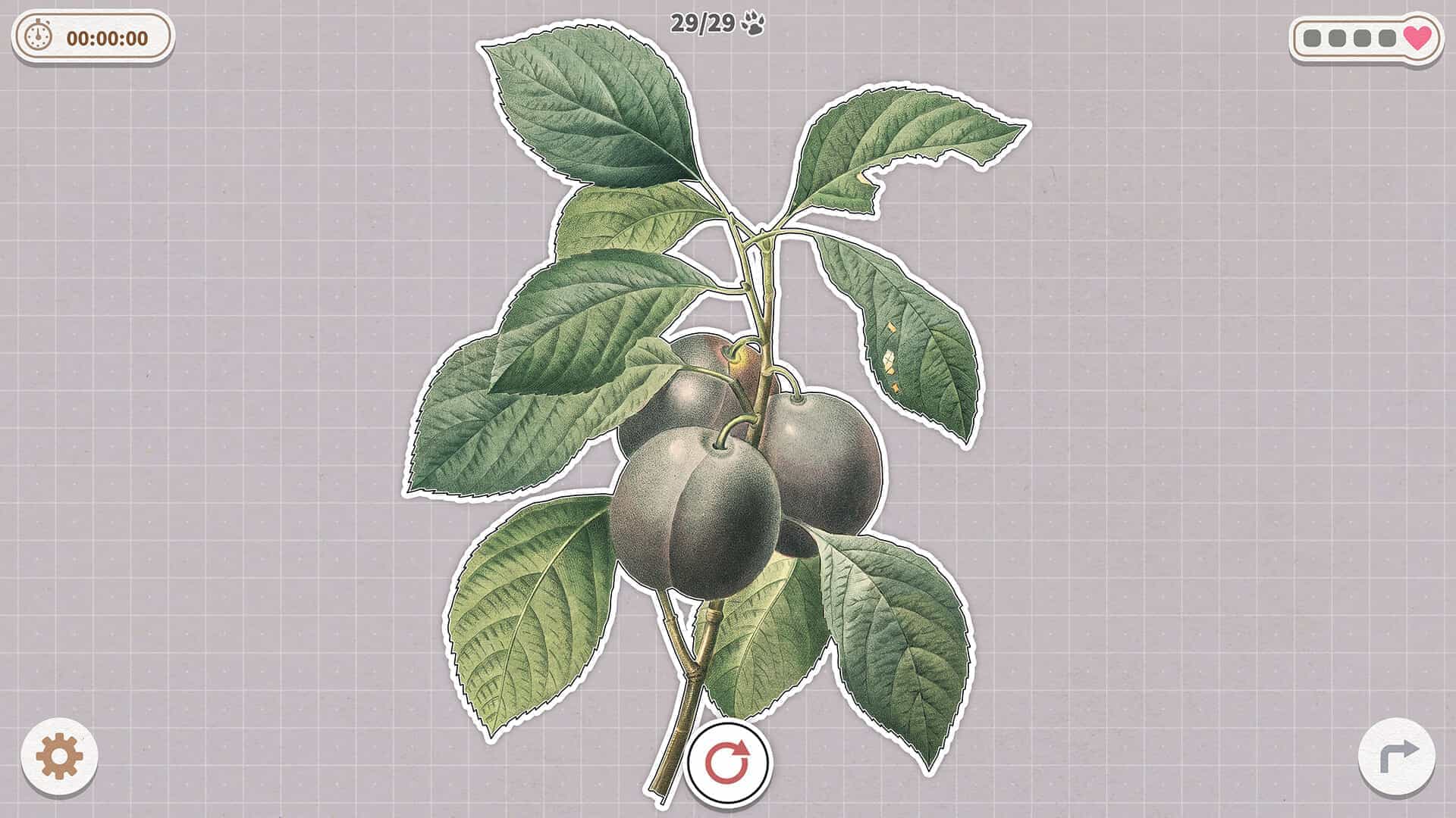 挤在一起的植物-Plants Huddled Together