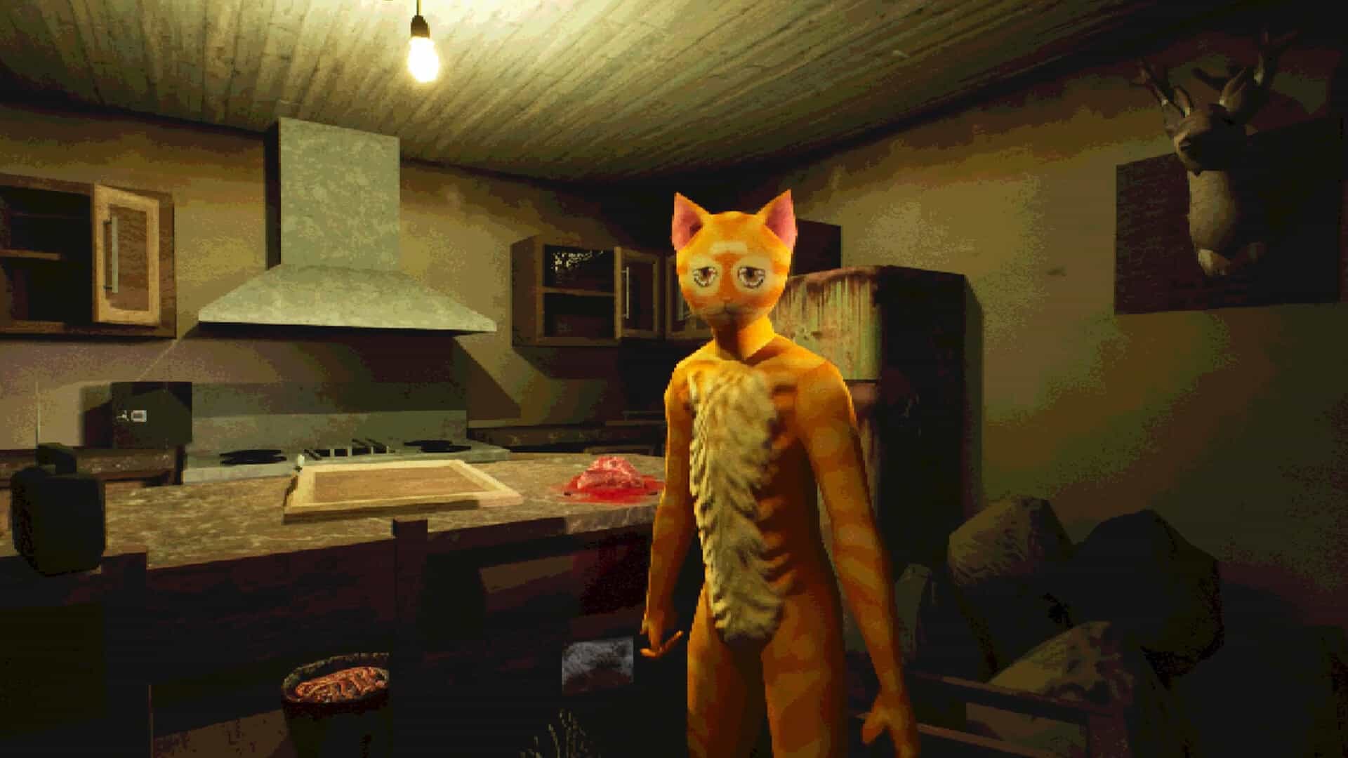 莫哈维之猫-Cat Named Mojave