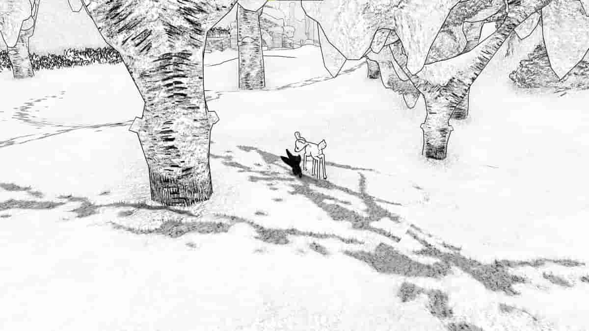 白之旅-Blanc