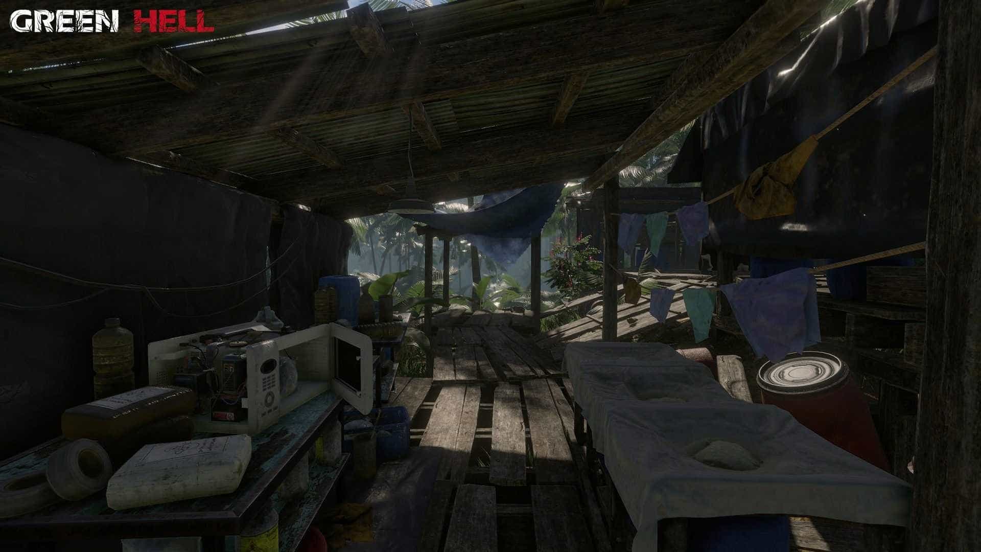 丛林地狱 | 绿色地狱 | Green Hell-3