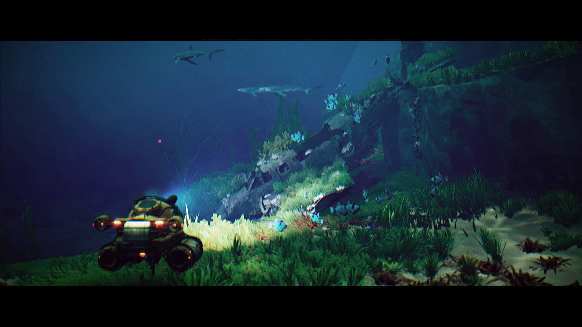 碧波之下-Under The Waves