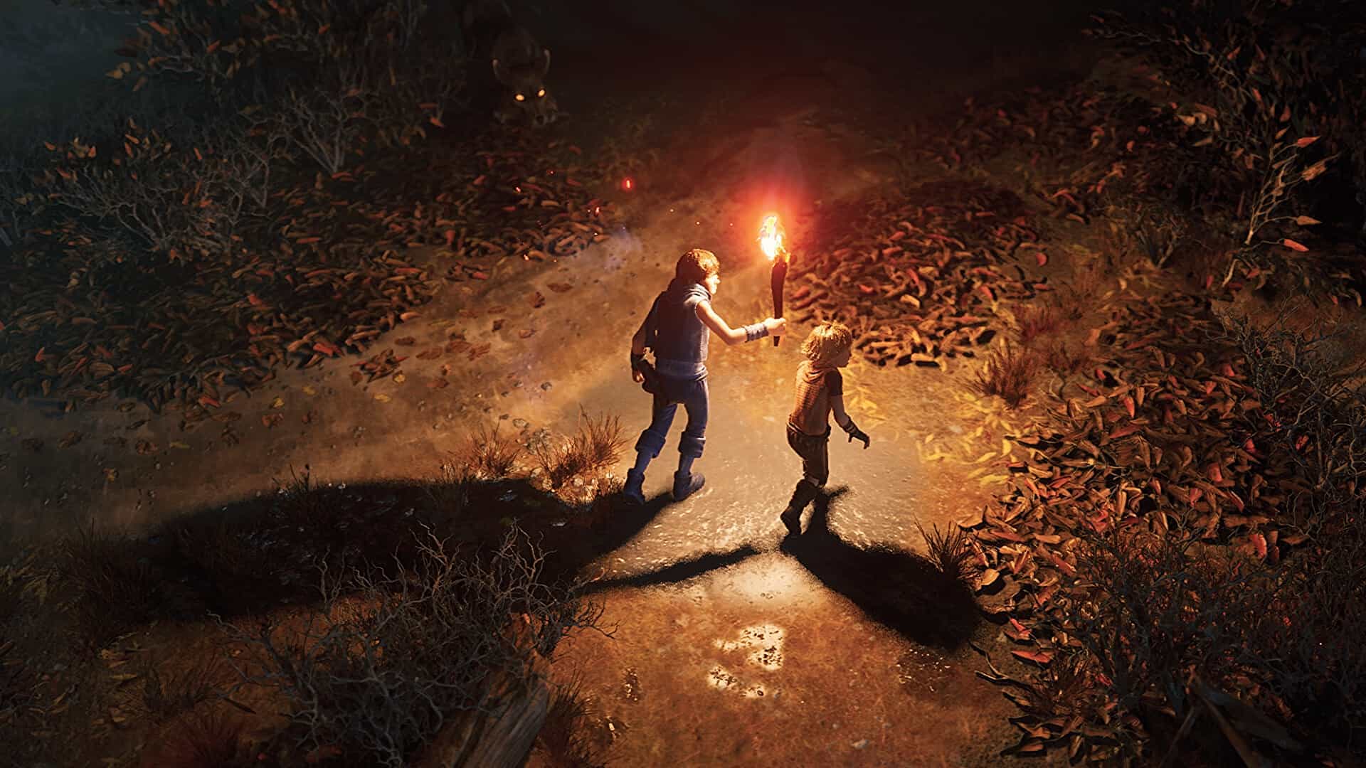 兄弟：双子传说 重制版-Brothers: A Tale of Two Sons Remake