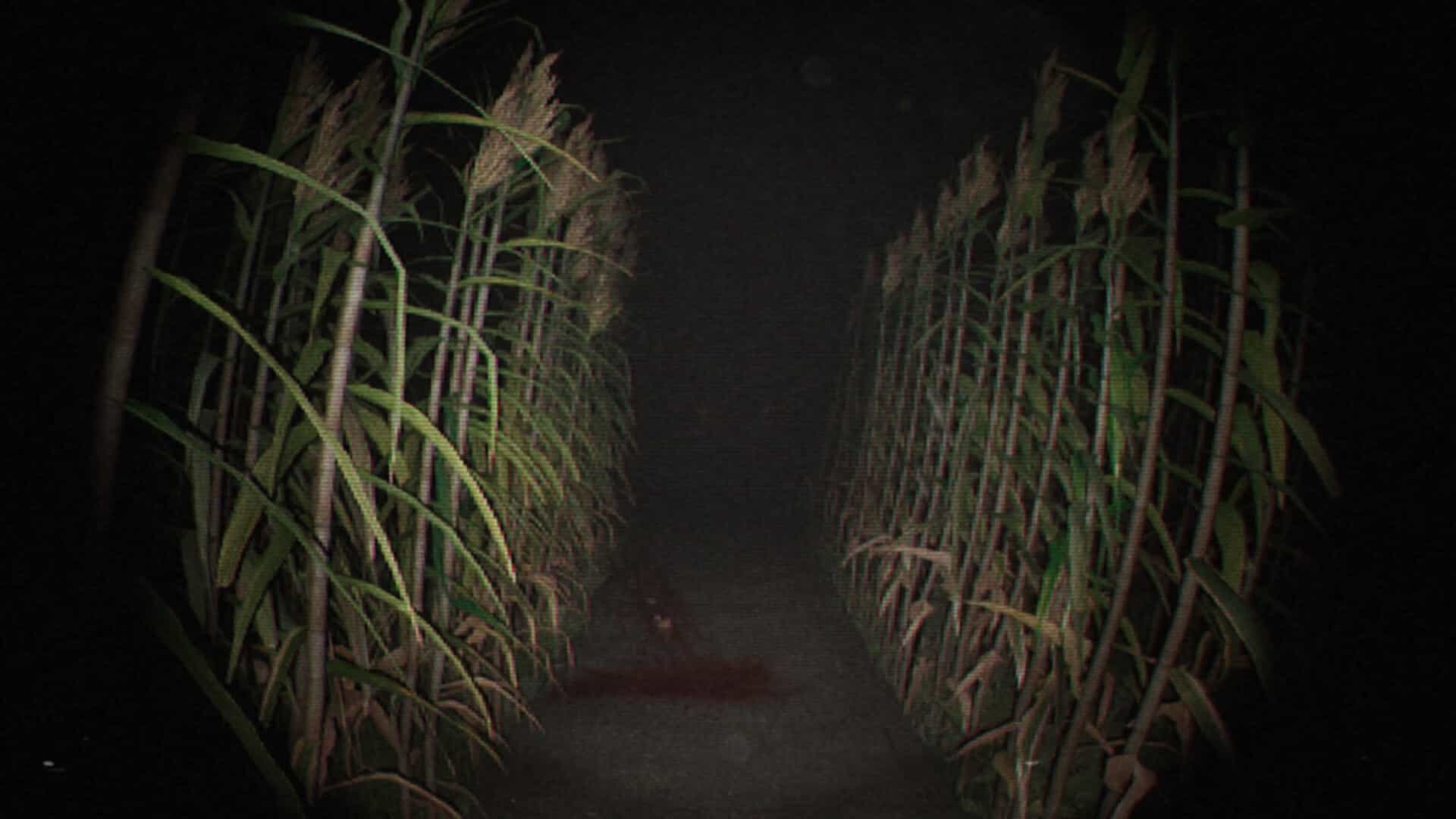 诡影实录-Unknown Tapes