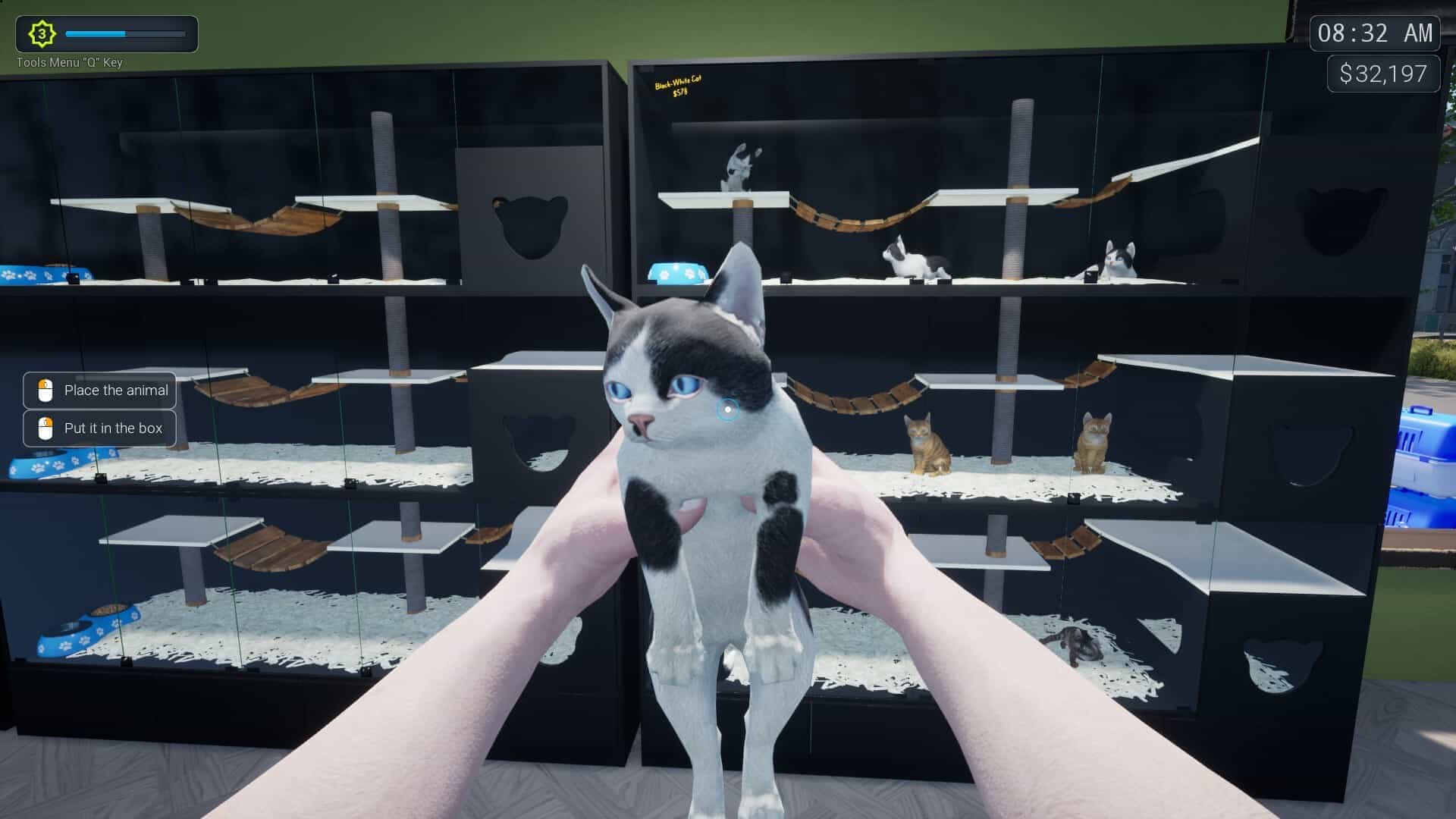 异域风情2：宠物店模拟器-Exotica 2: Pet Shop Simulator