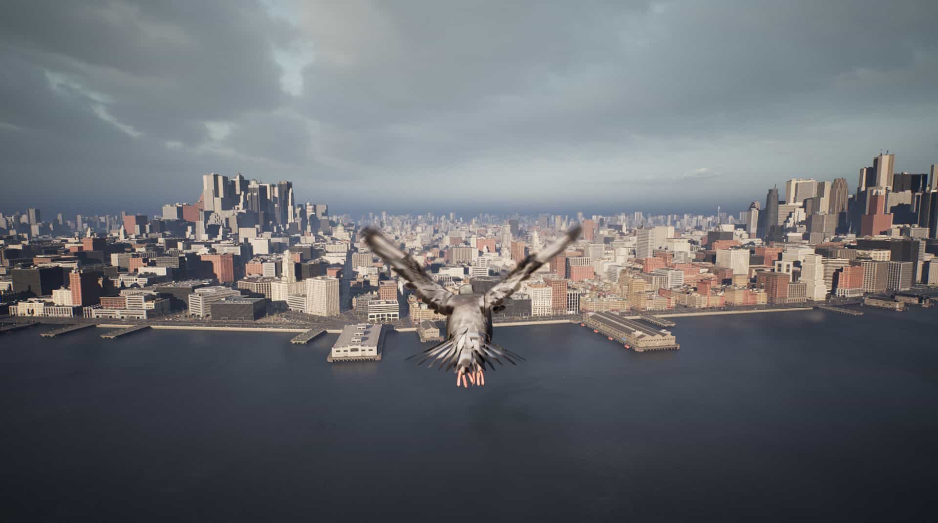 鸽子飞行模拟器-Pigeon Flight Simulator