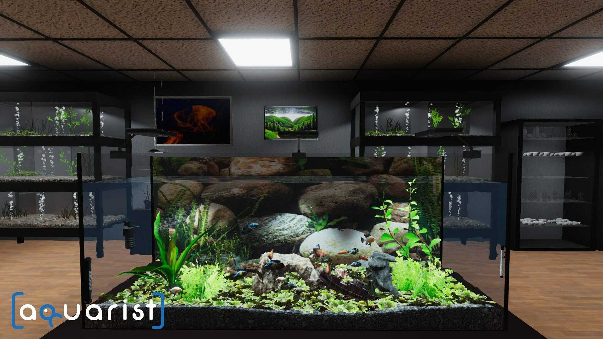 Aquarist – 建造水族馆，养鱼，发展你的事业！