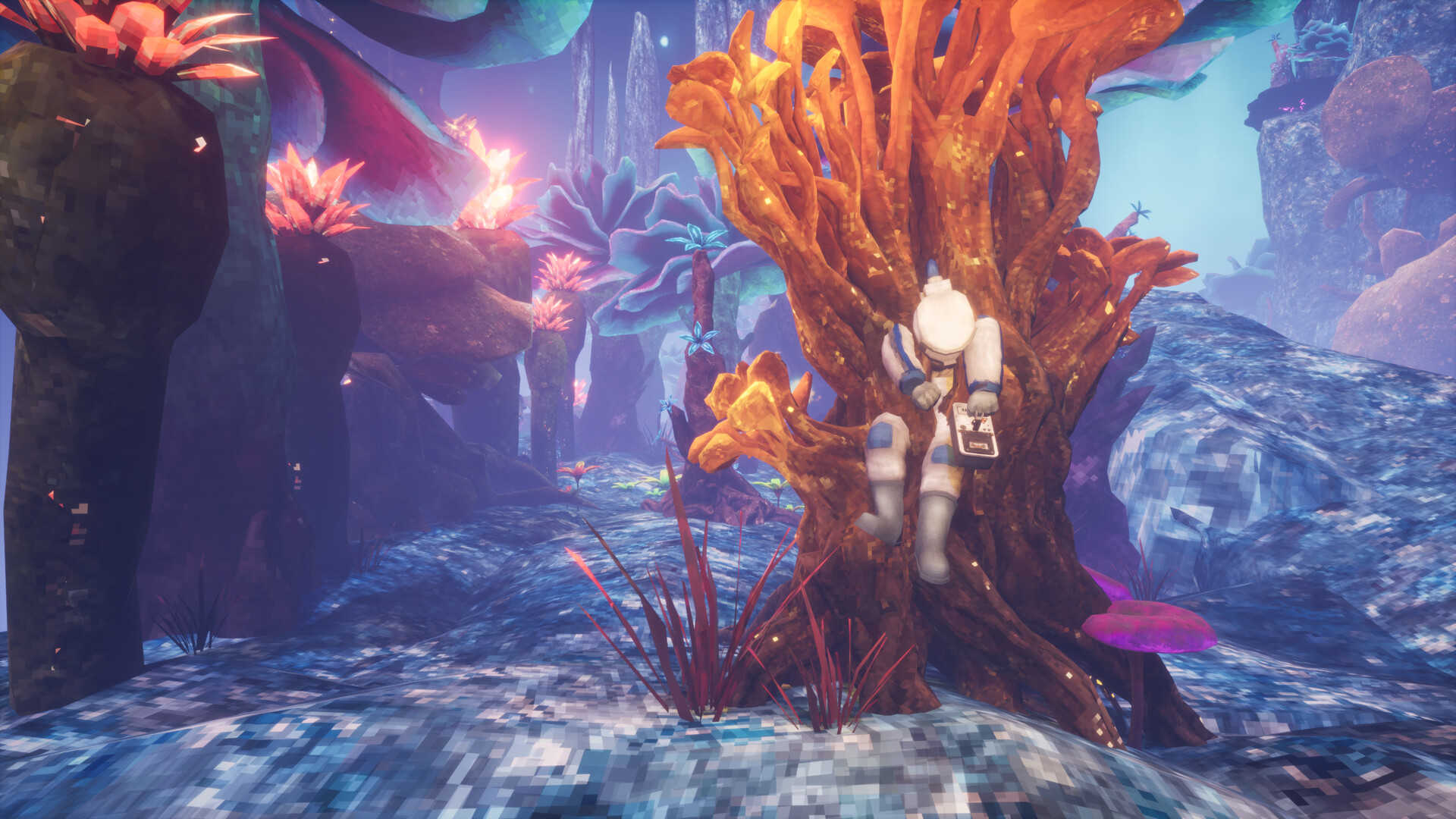 非生物因素-Abiotic Factor