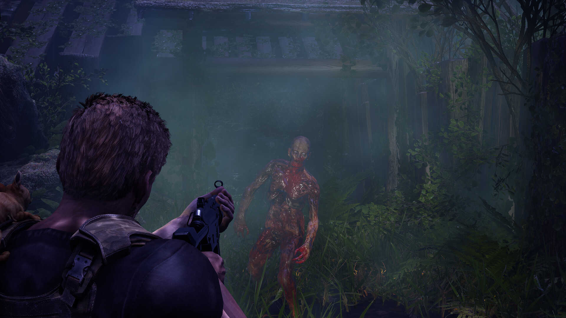 衰变起源-DecayZ Origin