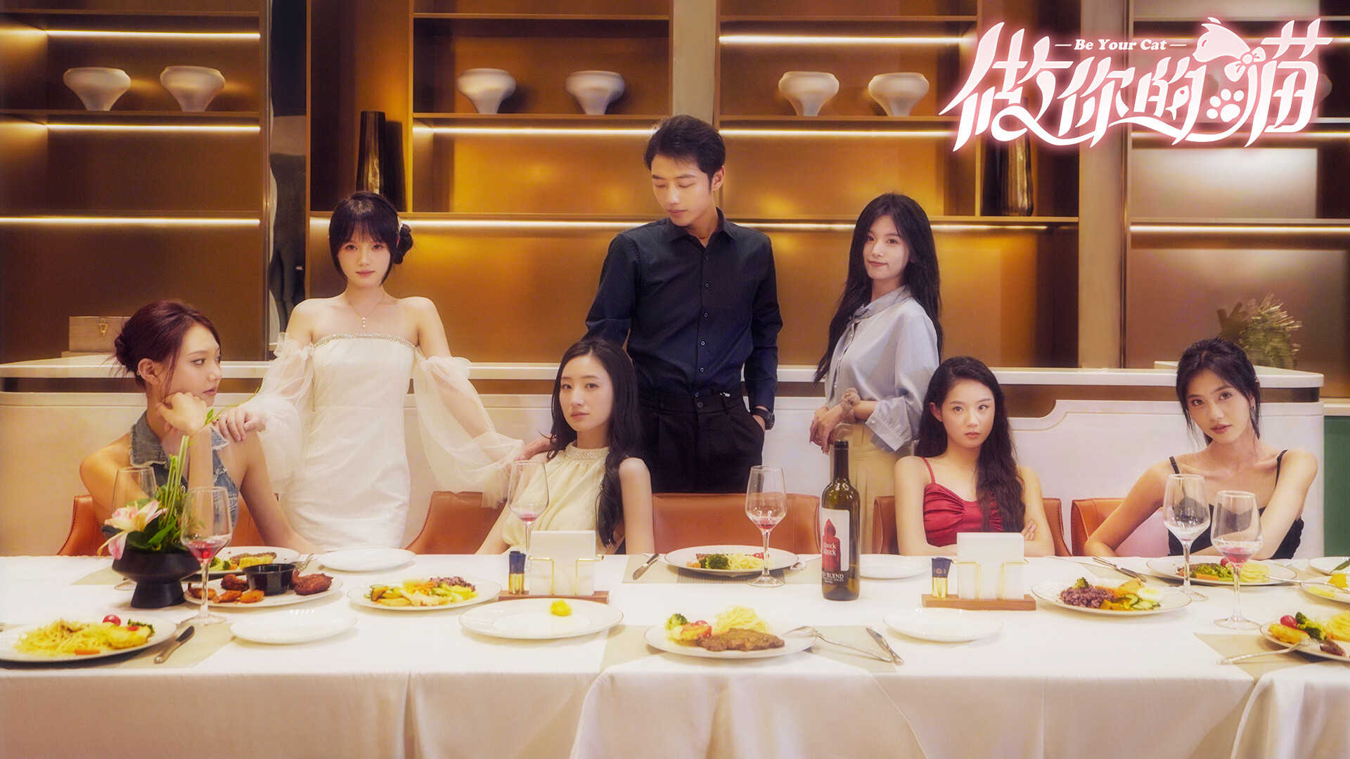 做你的猫-BeYourCat