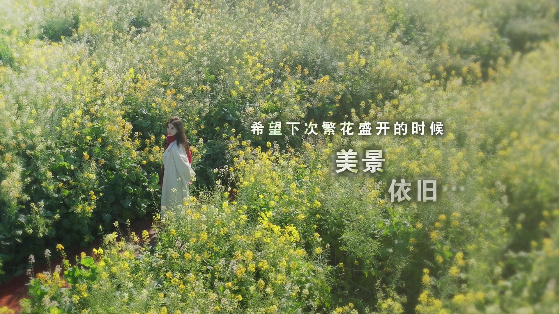 这个是真的喜欢！-I\’ve Fallen For You!