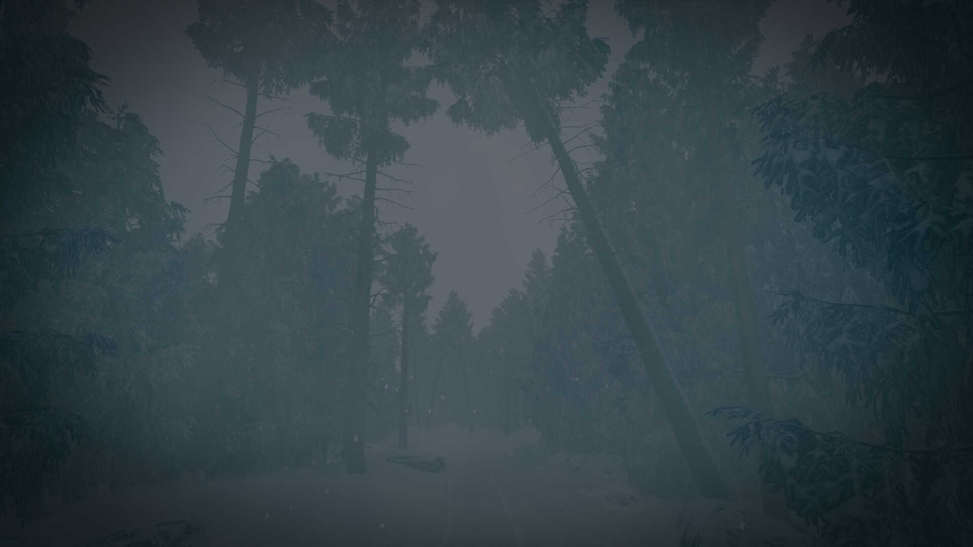 最后的滑雪之旅-The Last Ski Trip