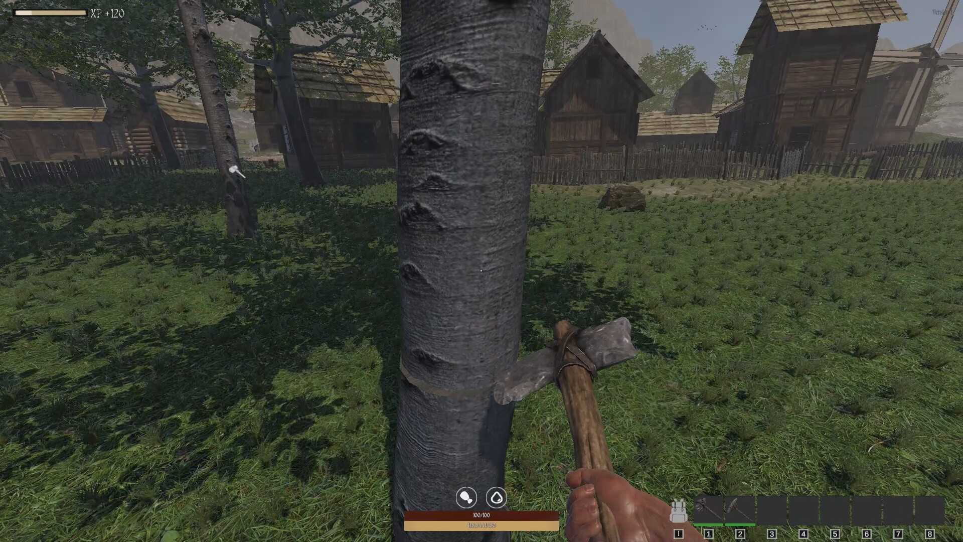 探险逃生：生存-QUESTSCAPE: Survival