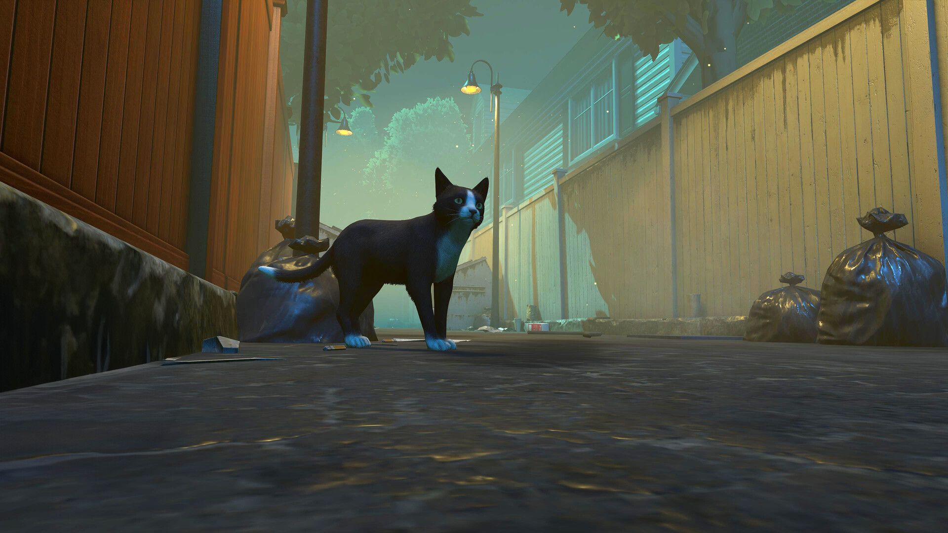 冒牌猫谜-Copycat