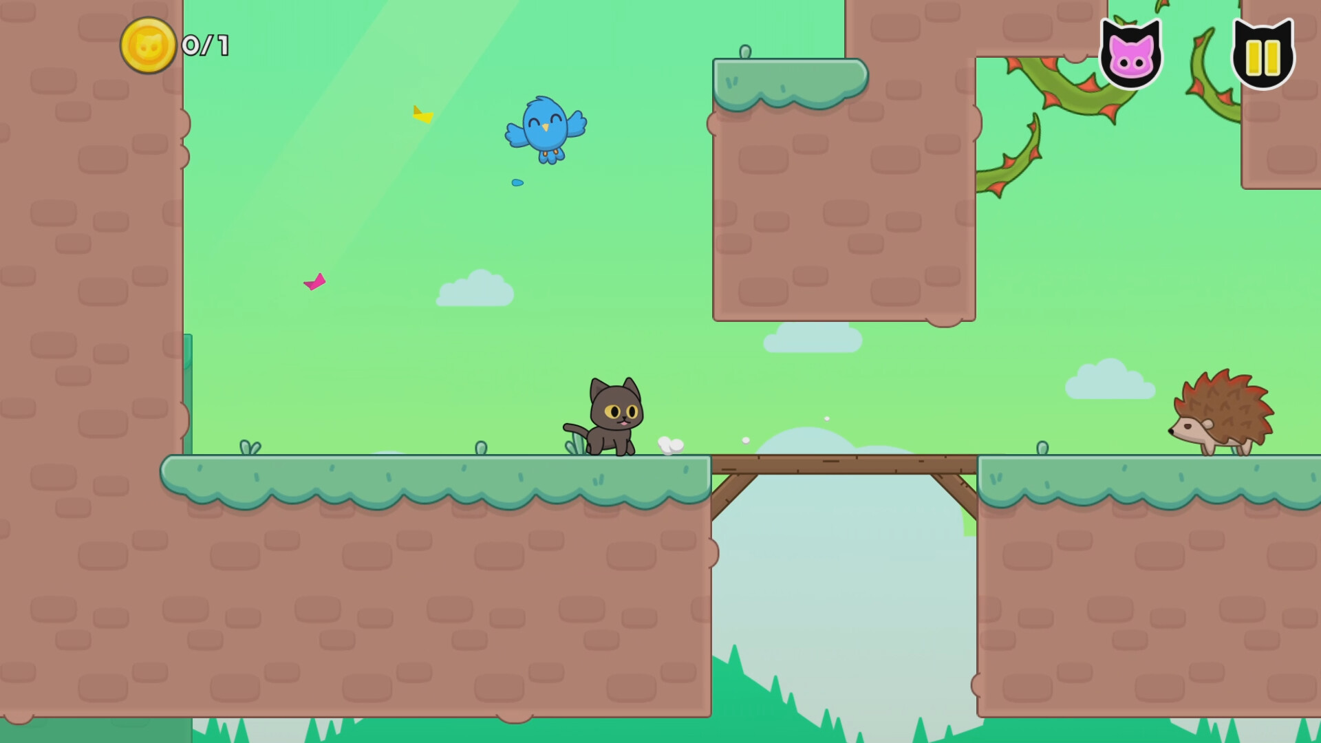 猫咪爱鸟-Kitty Loves Birds