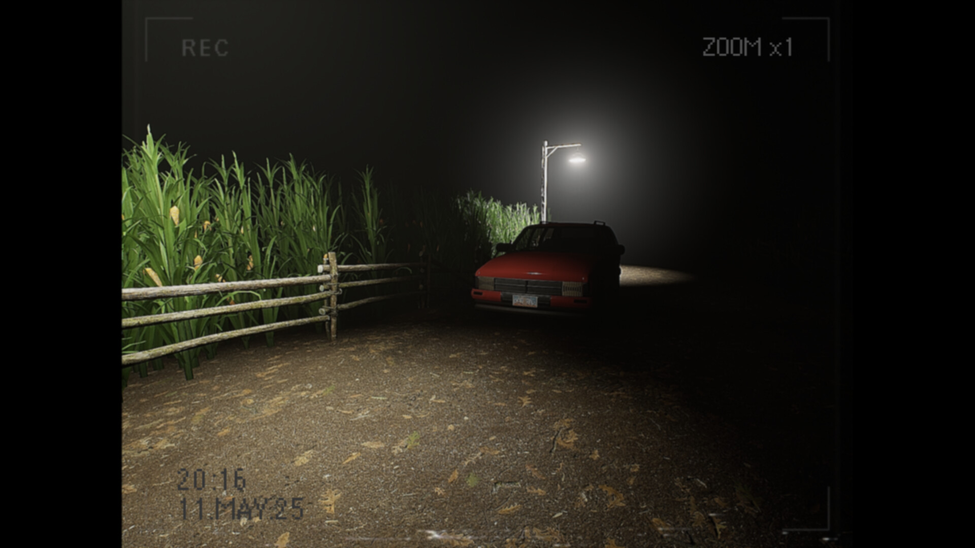 莉莉出了什么事？-What Happened to Lily?