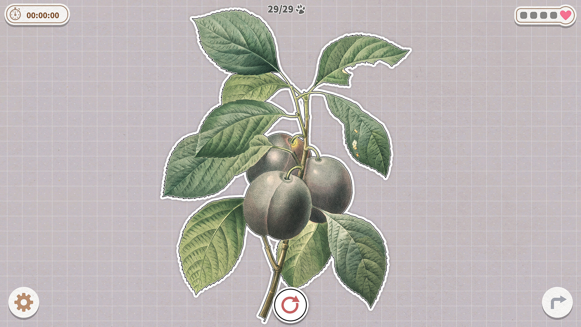 挤在一起的植物-Plants Huddled Together