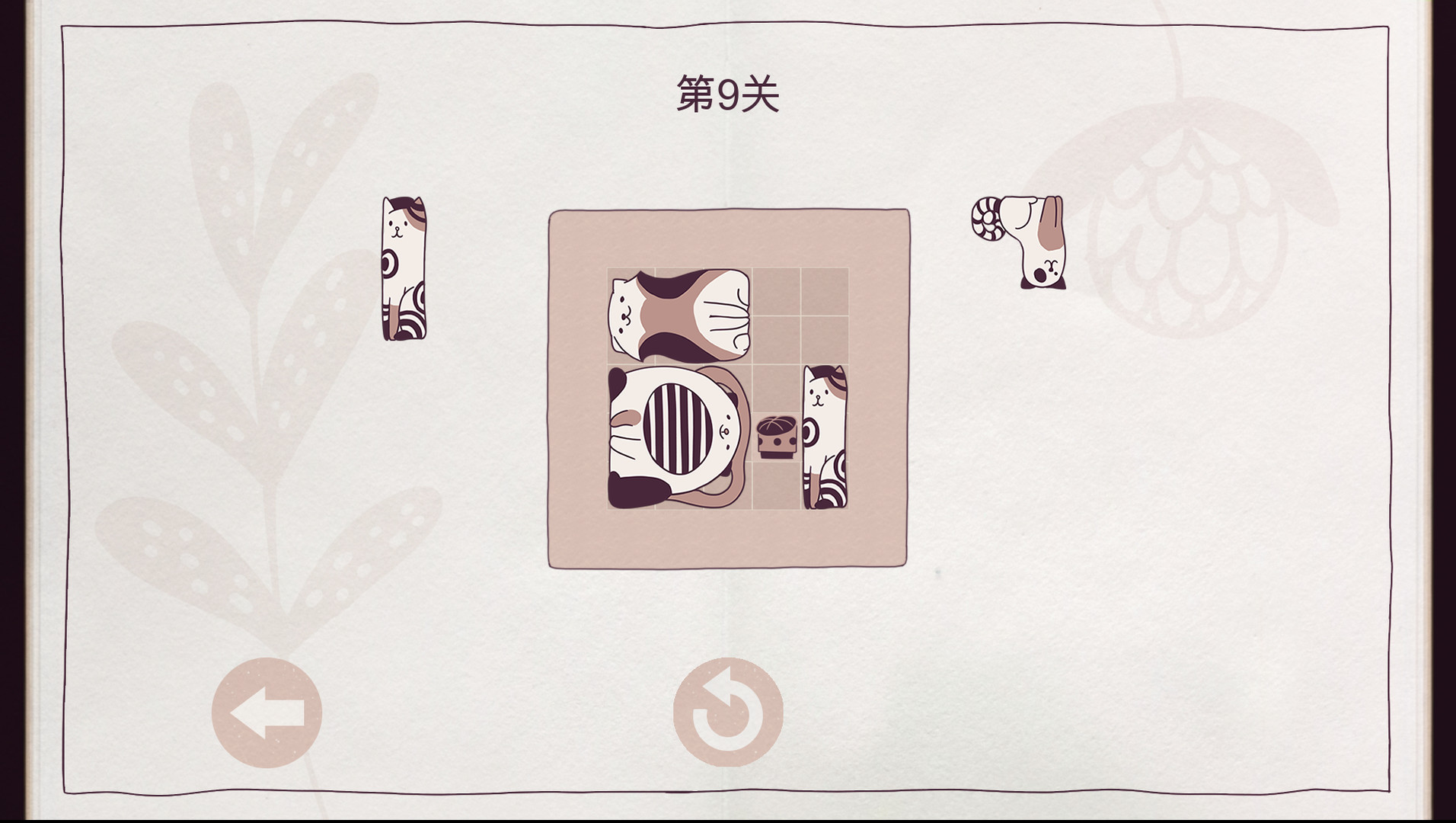 井然有猫-Cats Organized Neatly