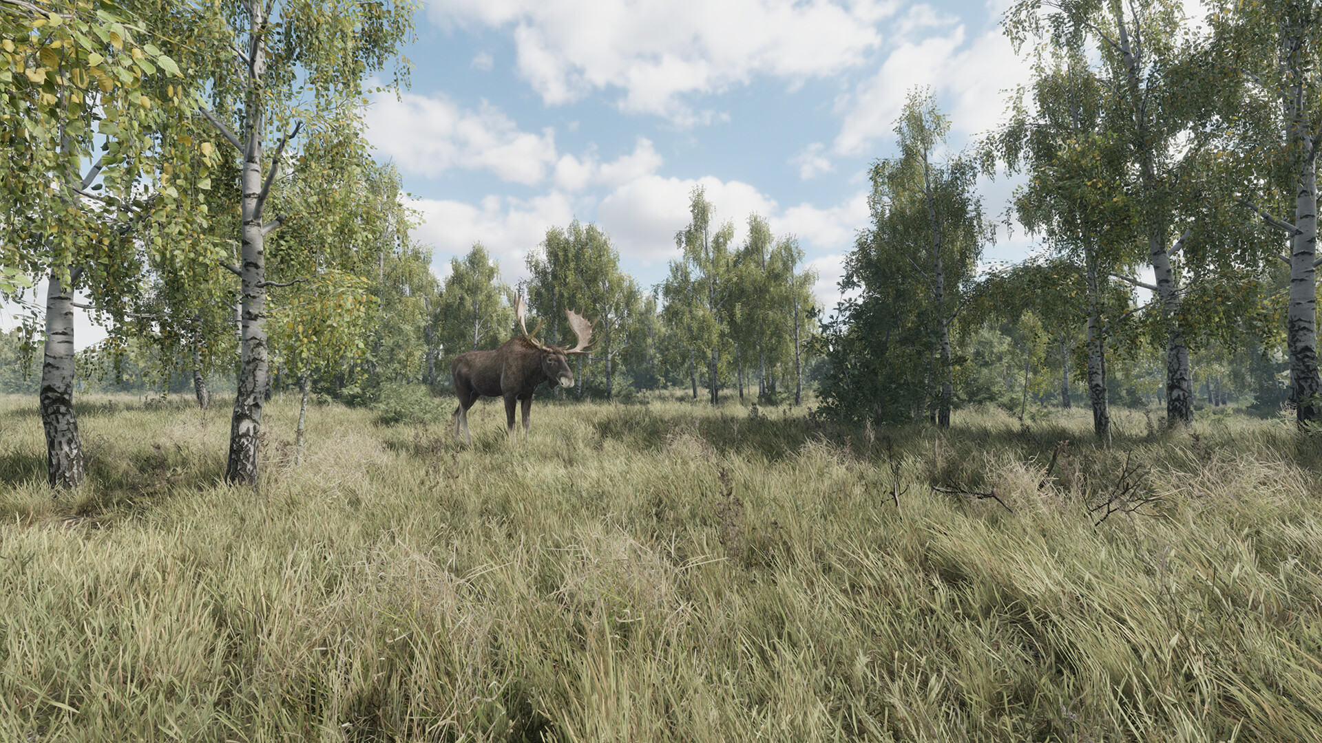 猎捕行动-On the Hunt