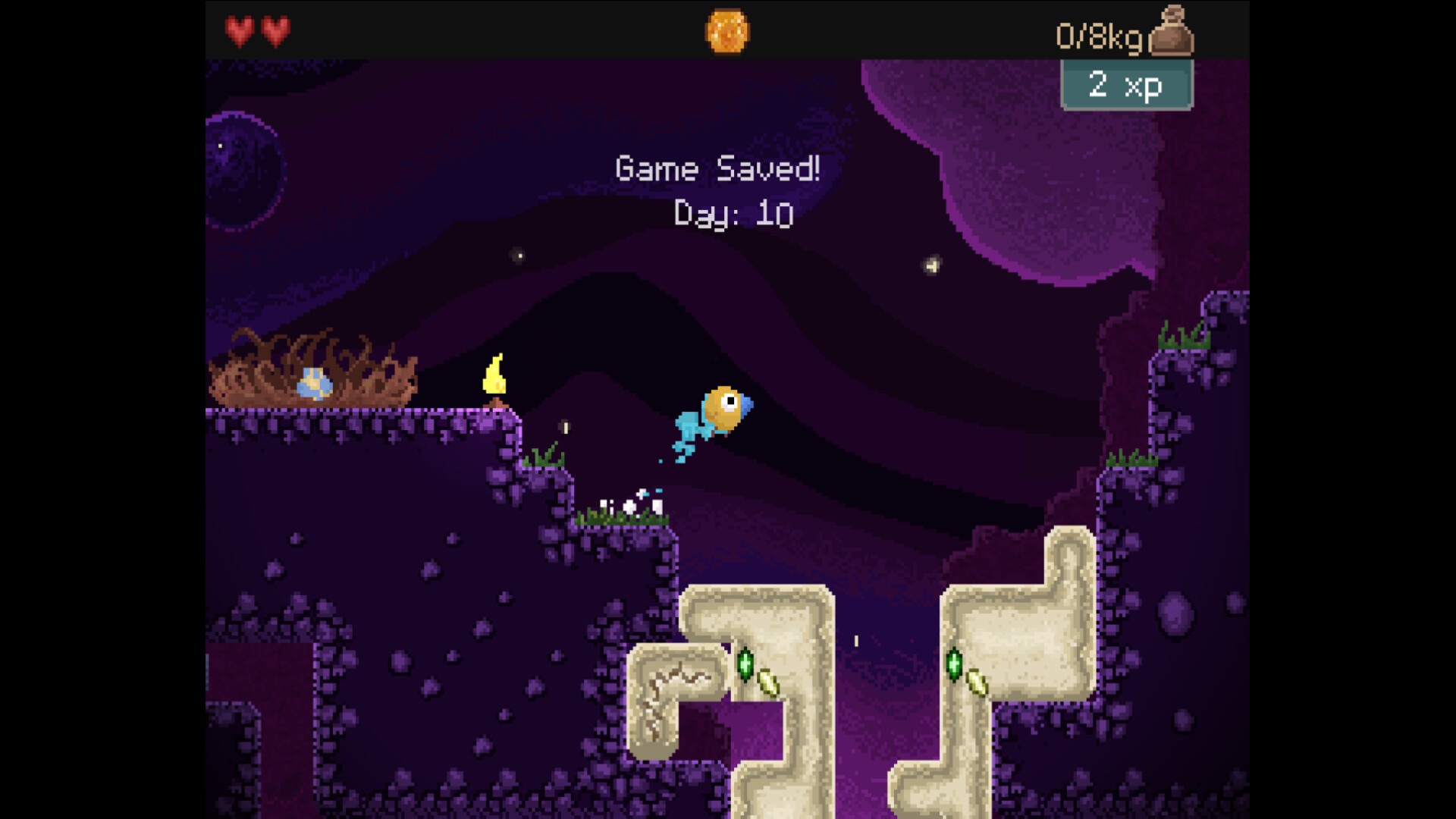 钻头鸟-Drill Bird