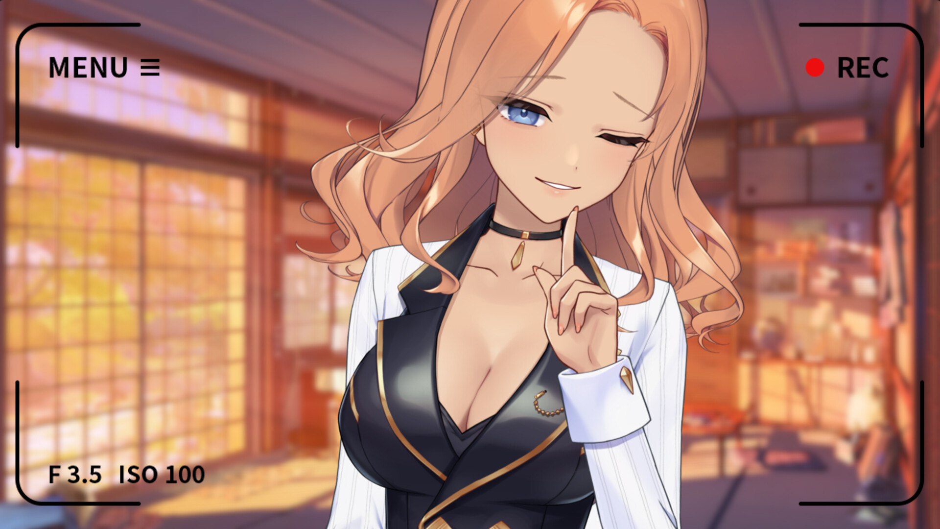 你的另一个老婆-Your Another Wife