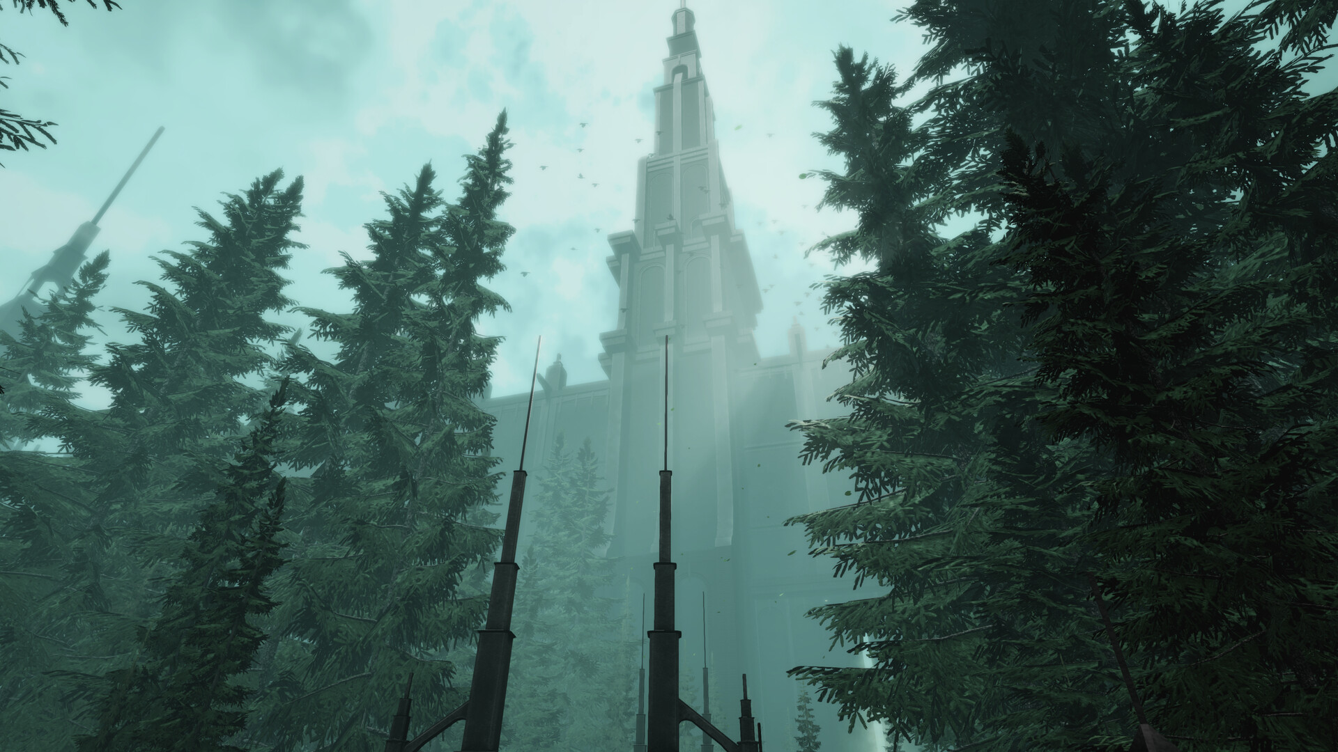 沉默的天鹅-The Silent Swan