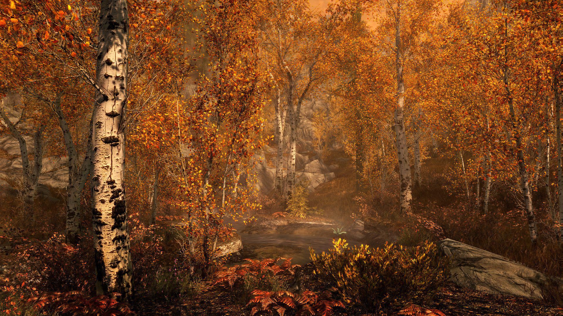 上古卷轴5：周年纪念版 | 上古卷轴5：天际10周年重制版 | The Elder Scrolls V: Skyrim Special Edition（v1.6.629.0）-4